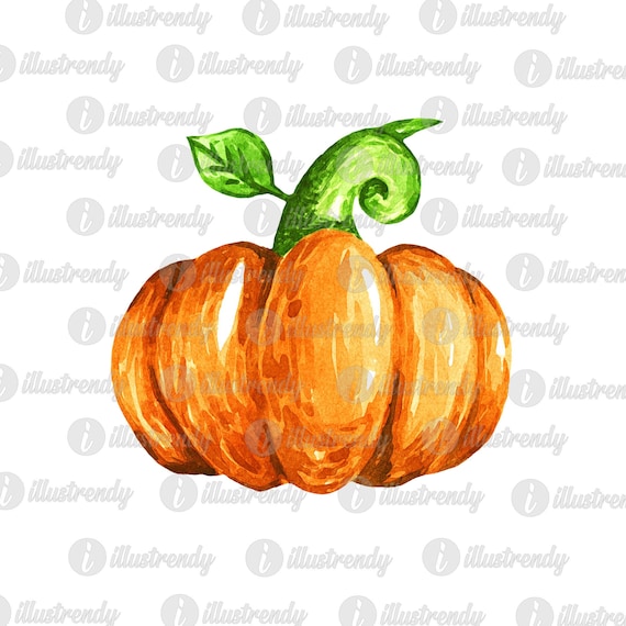 Download Watercolor Pumpkin Sublimation Design Hand Drawn Fall Etsy