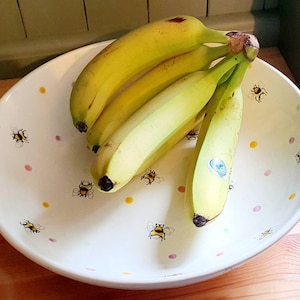 Handbeschilderd - grote fruitschaal - geïnspireerd door Emma Bridgewater - bijen - stippen - fruitschaal - ondiepe schaal