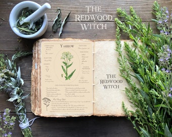 Yarrow Page ~ Magical Herb Page for Herbal and/or Book of Shadows ~ Instant Digital Download