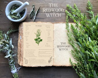 Mugwort Page ~ Magical Herb Page for Herbal and/or Book of Shadows ~ Instant Digital Download