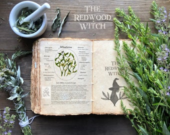 Mistletoe Page ~ Magical Herb Page for Herbal and/or Book of Shadows ~ Instant Digital Download