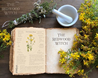 St. John's Wort Page ~ Magical Herb Page for Herbal and/or Book of Shadows ~ Instant Digital Download