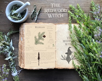 Redwood Page ~ Magical Herb Page for Herbal and/or Book of Shadows ~ Instant Digital Download