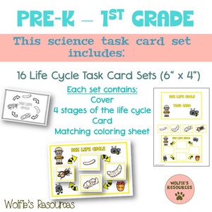 Cartes de tâches sur la science du cycle de vie pour la maternelle, la maternelle, la première année ou l'école à la maison
