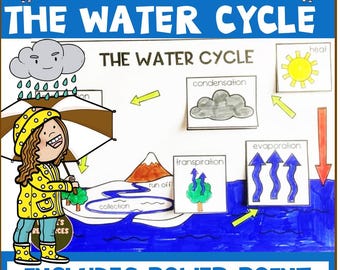 Water Cycle Diagram Activities Worksheets Power Point And Craft