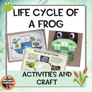 May include: A green frog life cycle craft activity for kids. The craft includes a frog, tadpole, egg, and frog stages. The text reads "Life Cycle of a Frog".
