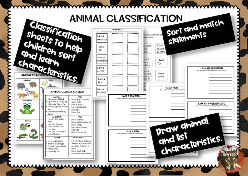 Animal Classification Activities Etsy