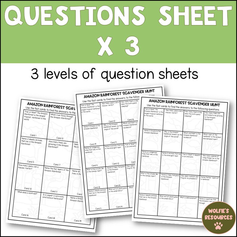 Amazon Rainforest Scavenger Hunt Etsy