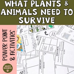 What Animals And Plants Need To Survive Kindergarten