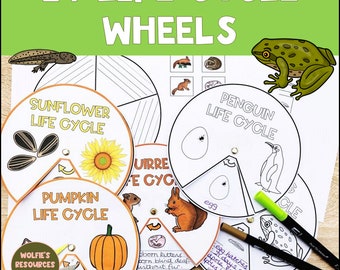 Life Cycle Wheels: Animal & Plant Learning Activity