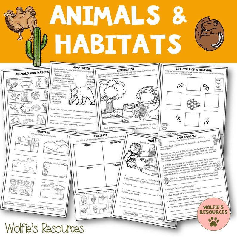 May include: A collection of educational worksheets with the title "ANIMALS & HABITATS" in large orange letters. The worksheets cover topics like adaptation, hibernation, and habitats, with illustrations of animals and environments. The bottom left corner has the text "Wolfie's Resources".