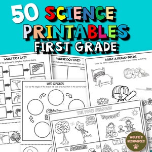 50 Science Printable Worksheets For First Grade And Homeschool