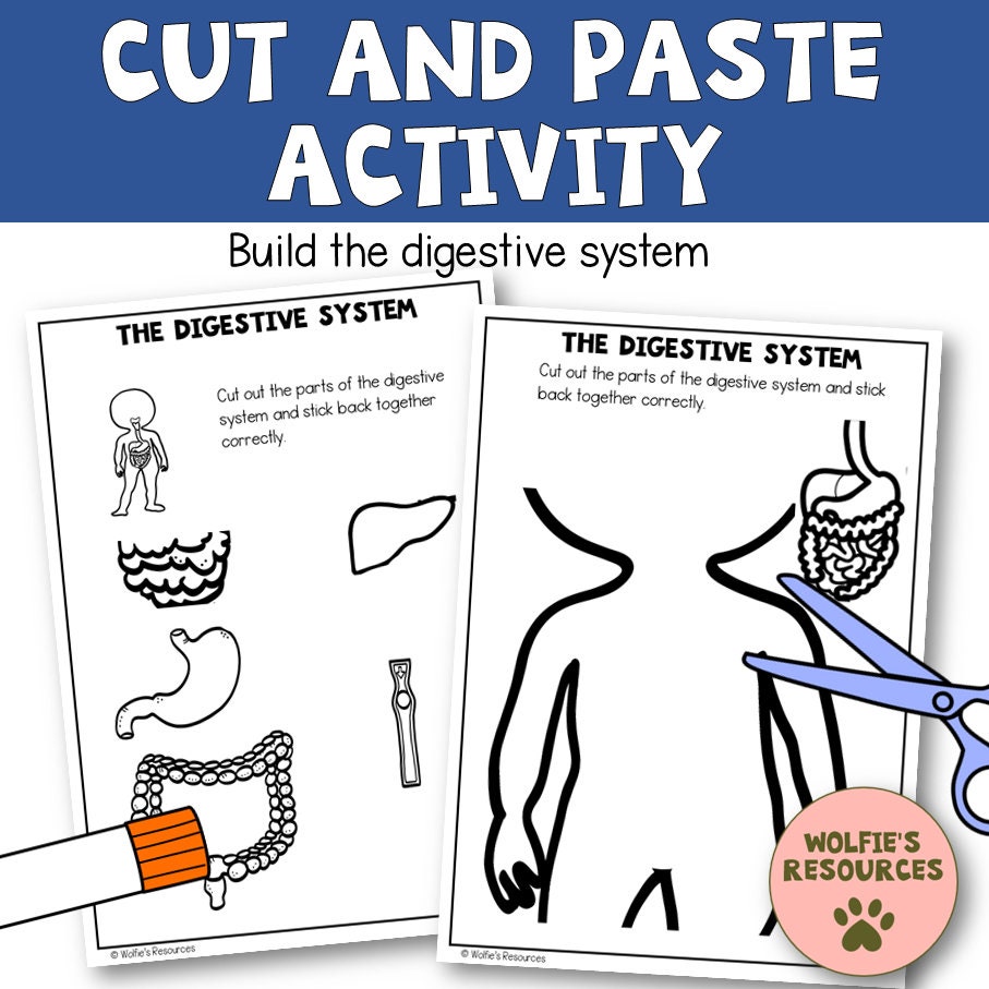 The Digestive System Printables, Worksheets, Activities, Homeschool - Etsy
