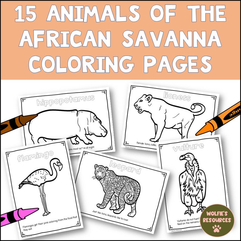 Animals of the African Savanna Coloring Pages Etsy