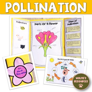 May include: A colorful educational poster about pollination. The poster includes illustrations of a flower, a bee, a bird, and a bat. The poster also includes text about the parts of a flower and the steps of pollination. The poster is titled "Pollination".