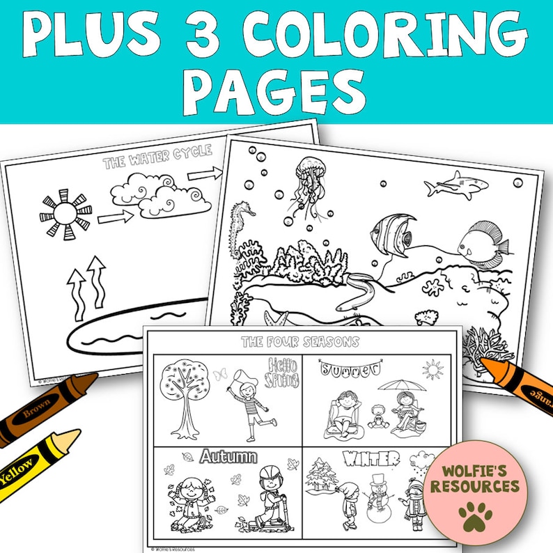 50 Science Printable Worksheets for First Grade - Etsy