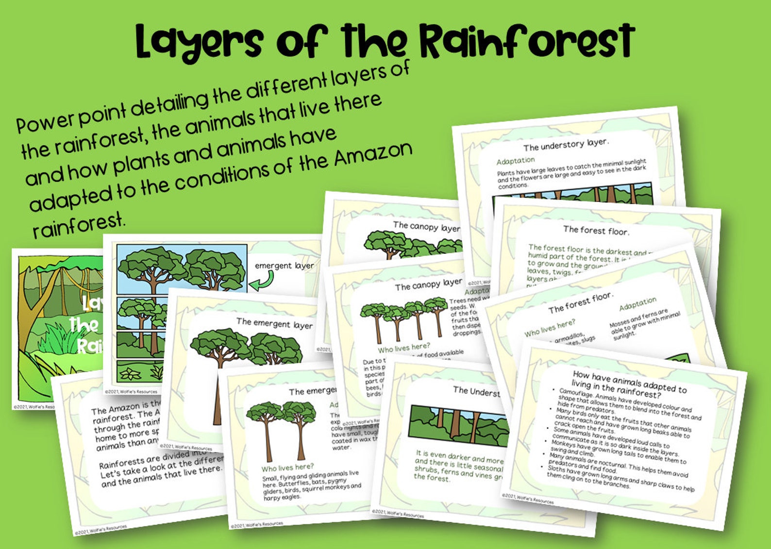 Amazon Rainforest Layers Download Now Etsy