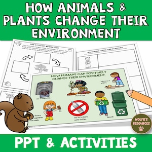 May include: A colourful educational poster with the title "How Animals & Plants Change Their Environment". The poster includes illustrations of a squirrel, a tree, a compost bin, a person planting a tree, a person recycling, and a person saying no to plastic water bottles. The poster also includes the text "Life Cycle of an Oak Tree" and "How Humans Can Positively Change Their Environment".