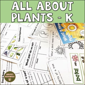 Plants Worksheets Activities And Posters