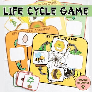 Life Cycle Game