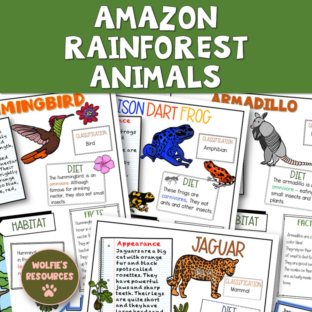 Amazon Rainforest Animals - Etsy