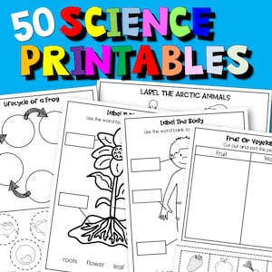 Science Worksheets For Kindergarten And Homeschool