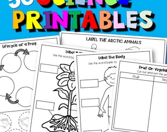 Science Worksheets For Kindergarten And Homeschool