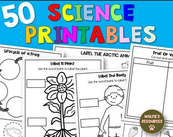 science worksheets etsy