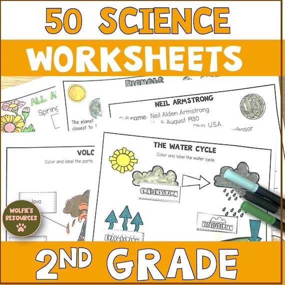 Science Worksheets For Second Grade And Homeschool