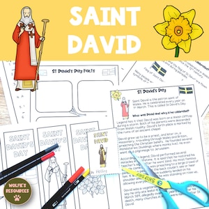 Saint David&#39;s Day KS2