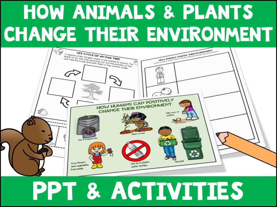 How Animals Change Their Environment Etsy