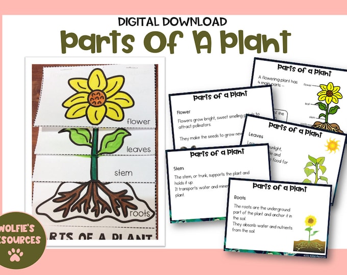 DIGITAL Printable PDF Download to Make Montessori Botany Felt Etsy