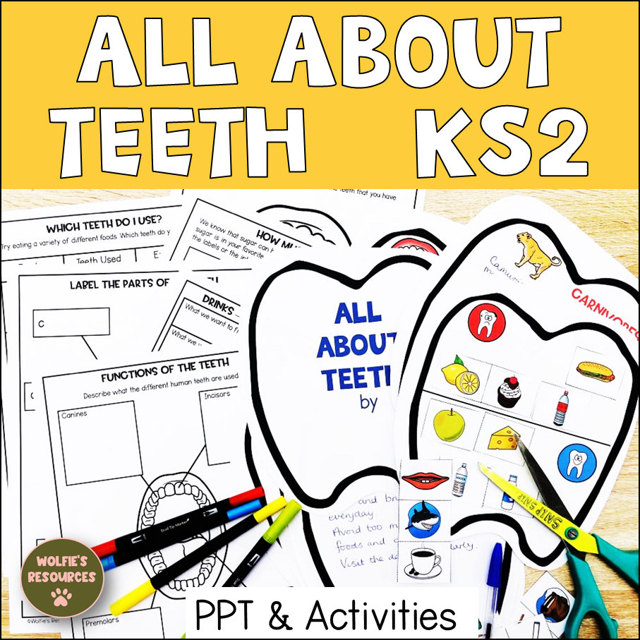 歯について | 歯科ケア | アクティビティとパワーポイント - Etsy 日本