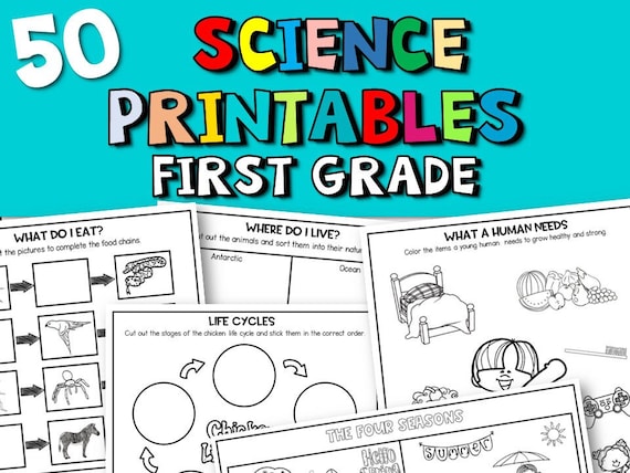 50-science-printable-worksheets-for-first-grade-etsy