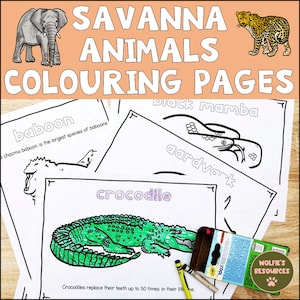 Animals Of The African Savanna Coloring Pages