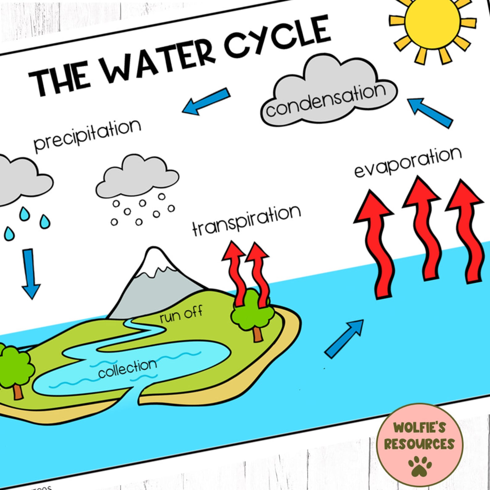 Water Cycle Diagram Etsy Australia