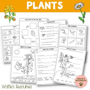 May include: A collection of black and white educational worksheets about plants. The worksheets cover topics such as the life cycle of an oak tree, pollination, seed dispersal, and the needs and parts of a plant. The word "PLANTS" is at the top.