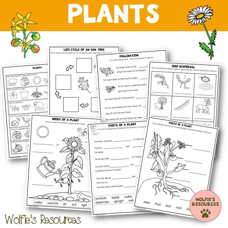 May include: A collection of black and white educational worksheets about plants. The worksheets cover topics such as the life cycle of an oak tree, pollination, seed dispersal, and the needs and parts of a plant. The word "PLANTS" is at the top.