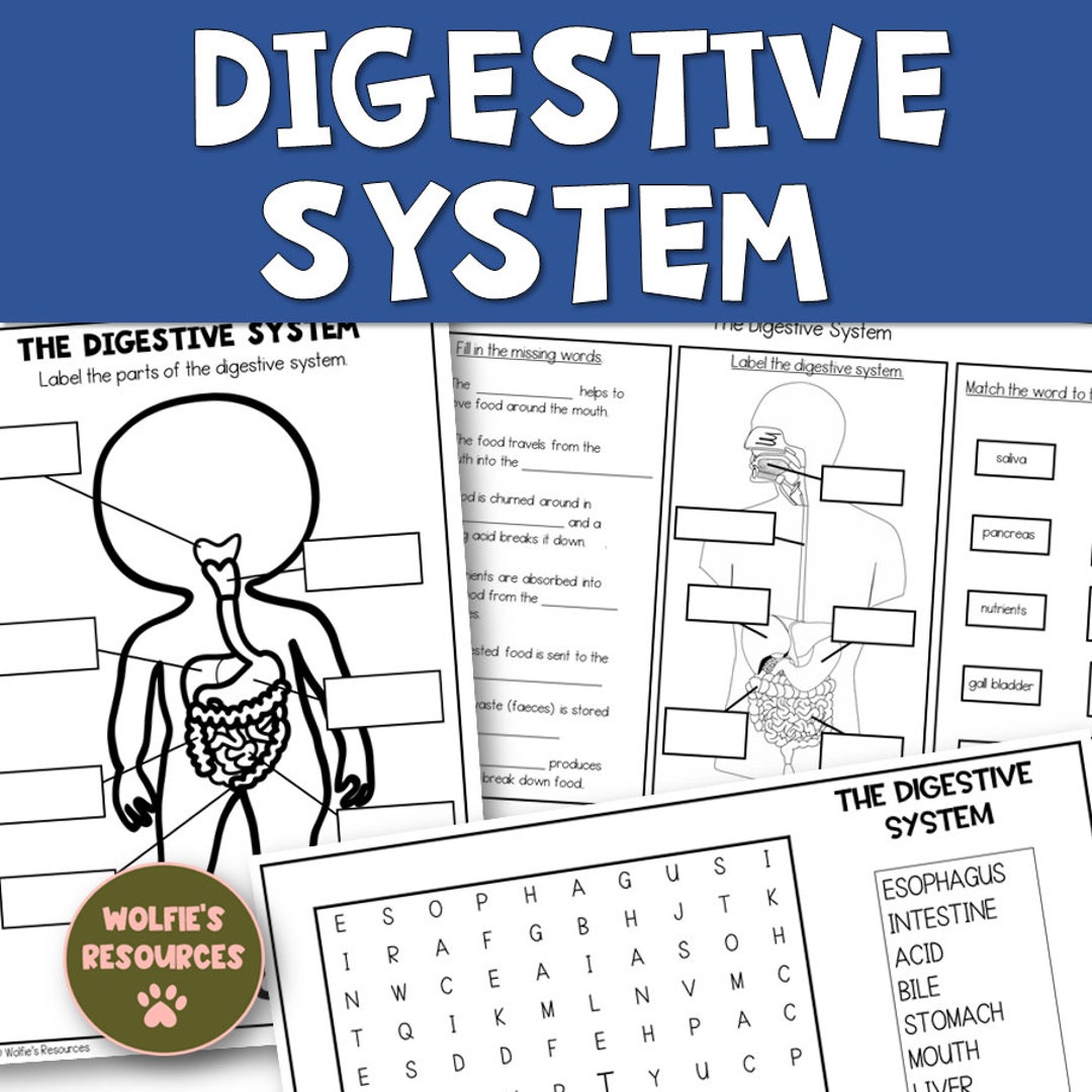 The Digestive System Printables, Worksheets, Activities, Homeschool Etsy