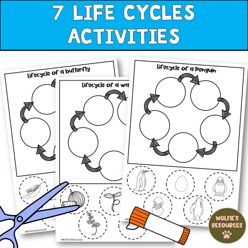 Life cycle activities