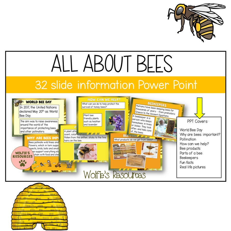 World Bee Day Lapbook & Bee Powerpoint Activity - Etsy