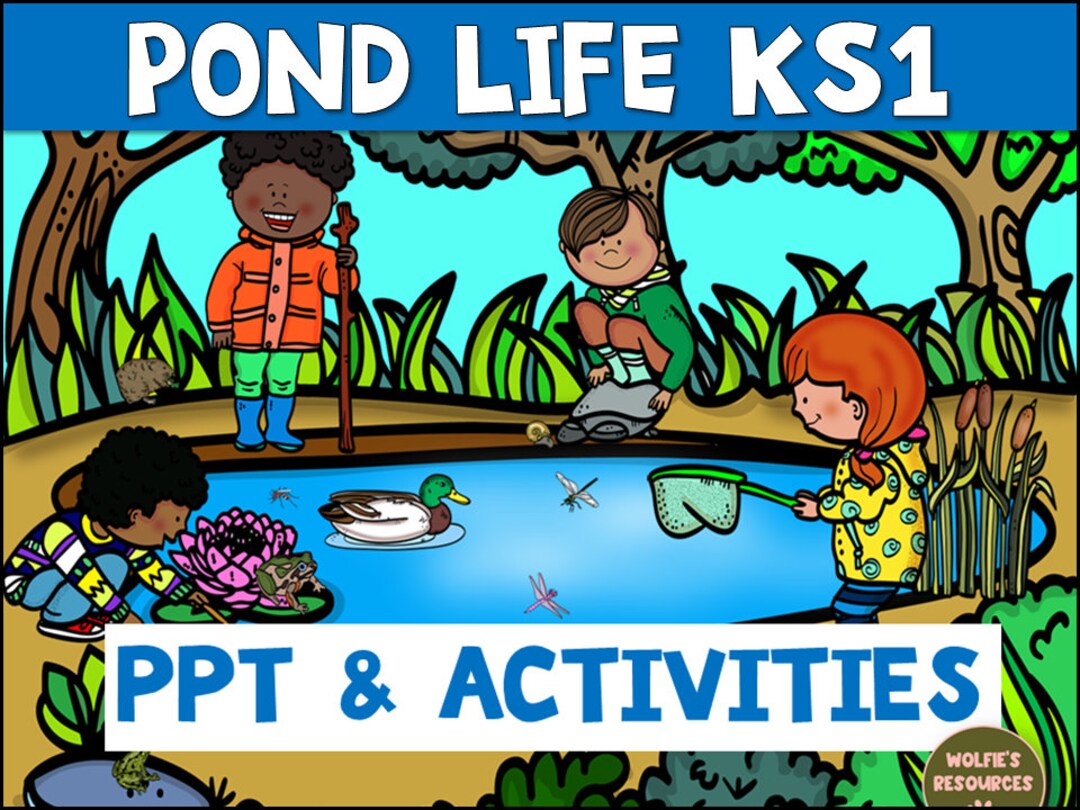 Pond Life Activities K1 / KS1 Etsy