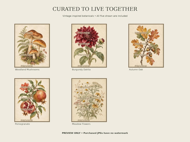 Vintage-inspired Botanical Wall Art Set of 10, Flowers Fruit & Foliage ...