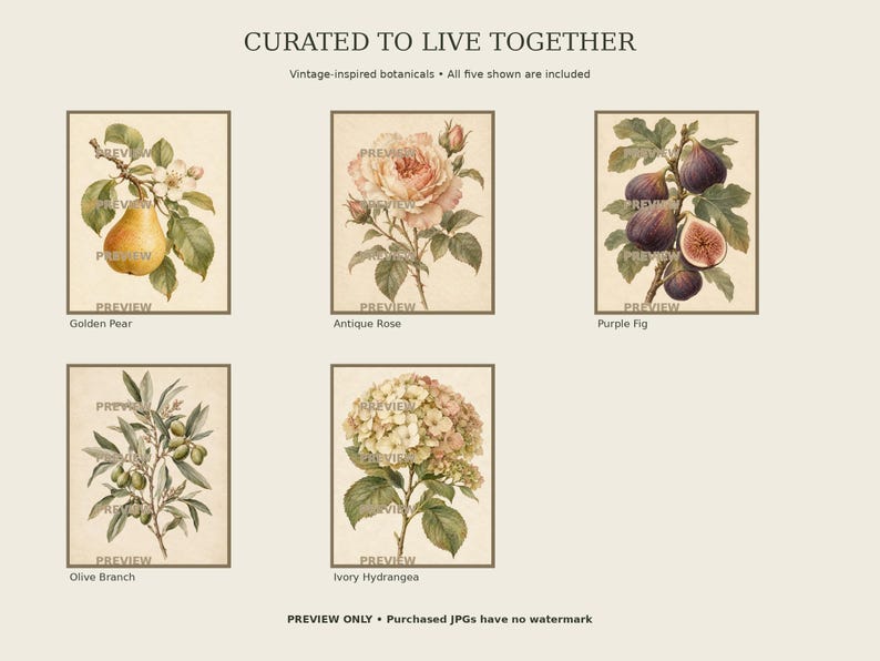 Vintage-inspired Botanical Wall Art Set of 10, Flowers Fruit & Foliage ...