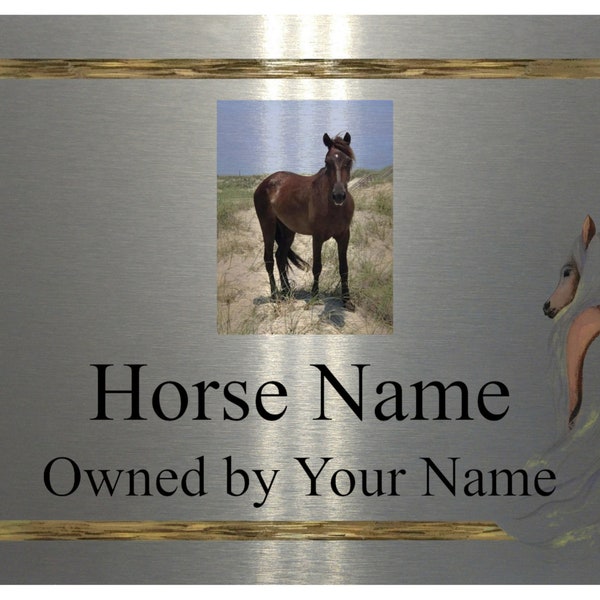 2228 Custom Personalised Horse Photo Name Stable Metal Aluminium Sign Plaque