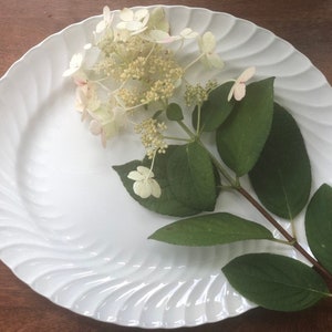 Vintage Ironston Platter, Made in England,  Burleighware by Burgess and Leigh Ltd. Ironstone Platter/Oval Large Plate.