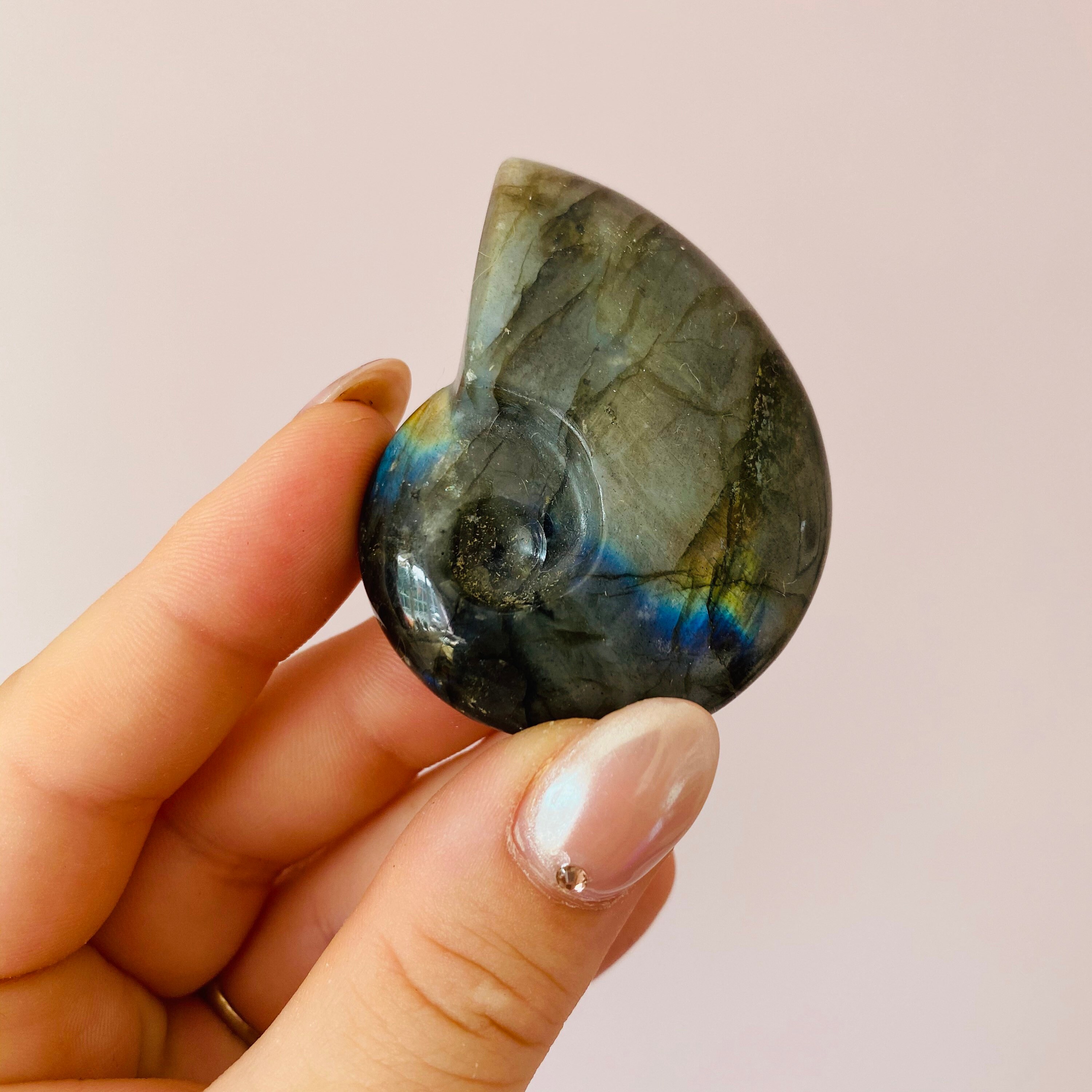ammonite gemstone ammonite gemstone