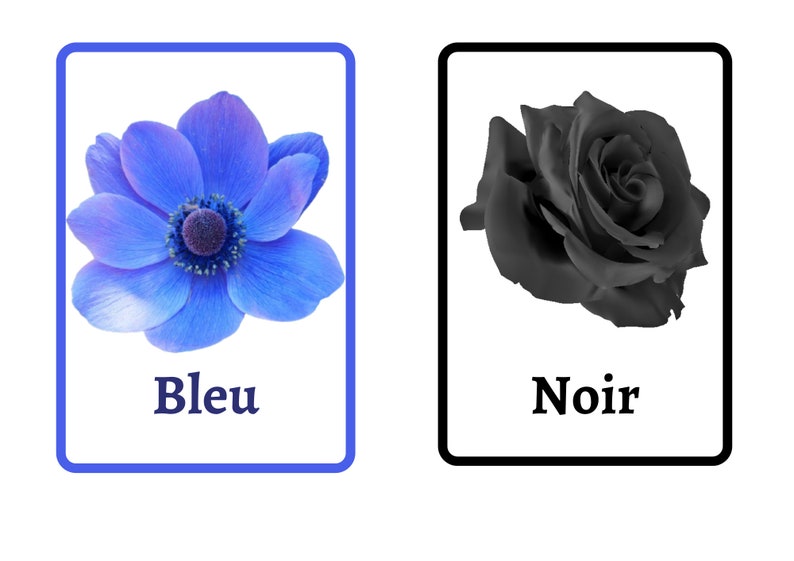 French Colors Flashcards Printable Bilingual Flash Cards for Etsy