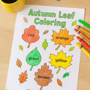 May include: A sheet of paper with the text "Autumn Leaf Coloring" and leaf outlines labeled with colors: red, orange, green, yellow, and brown. Colored pencils, a blue pencil, and a yellow mug are also present.