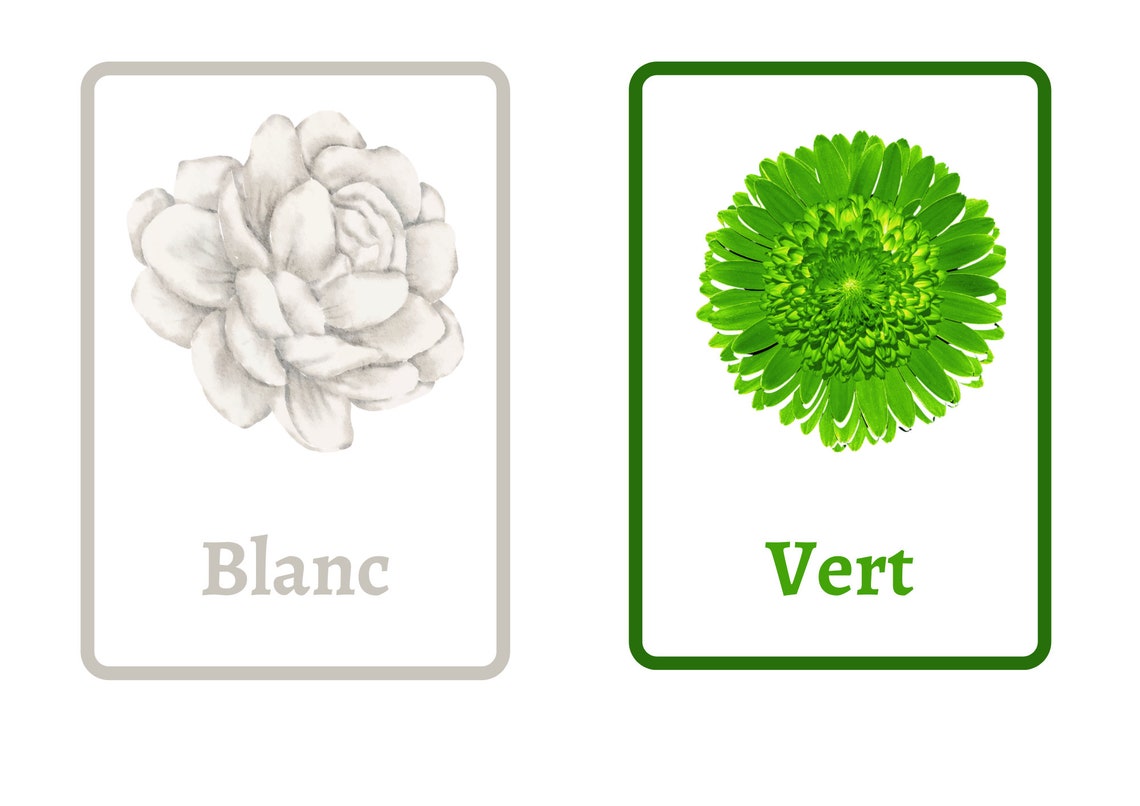 French Colors Flashcards Printable Bilingual Flash Cards for Etsy